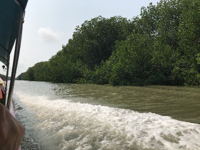 f:id:jomtien:20190212081421j:plain