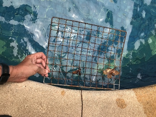 f:id:jomtien:20190906185447j:plain f:id:jomtien:20190906185447j:plain