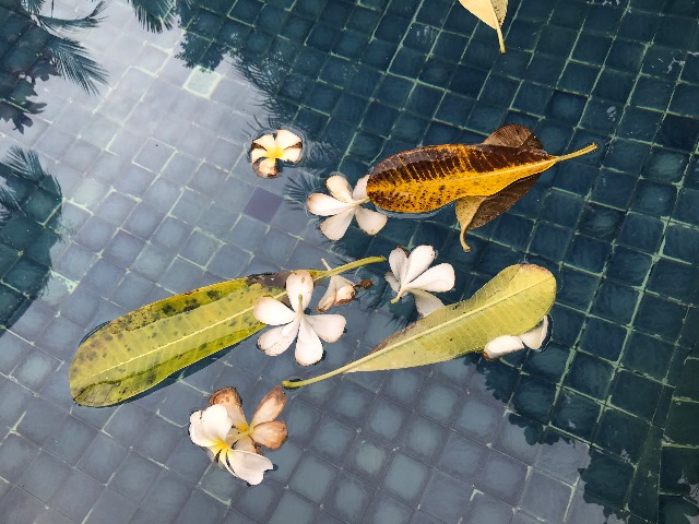 f:id:jomtien:20190906185539j:plain f:id:jomtien:20190906185539j:plain