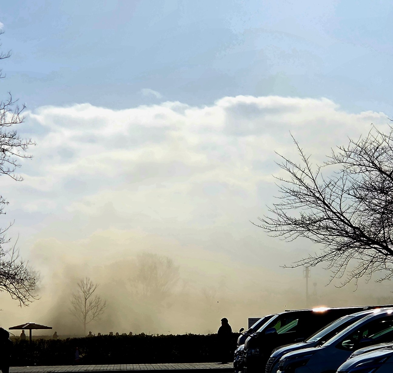 f:id:jonanfc:20260112202330j:image