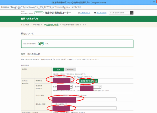 国税庁サイトの確定申告入力画面