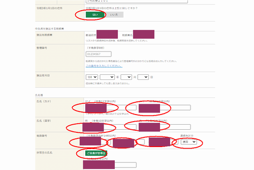 国税庁サイトの確定申告入力画面