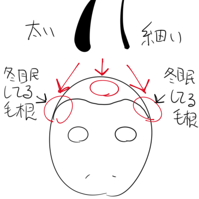 f:id:joney78:20200107204227j:plain f:id:joney78:20200107204227j:plain