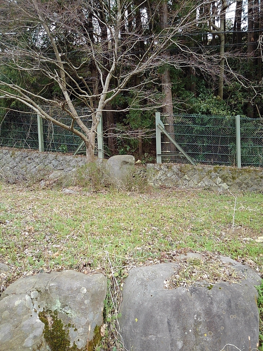 f:id:jonjonino7:20190401134054j:plain f:id:jonjonino7:20190401134054j:plain