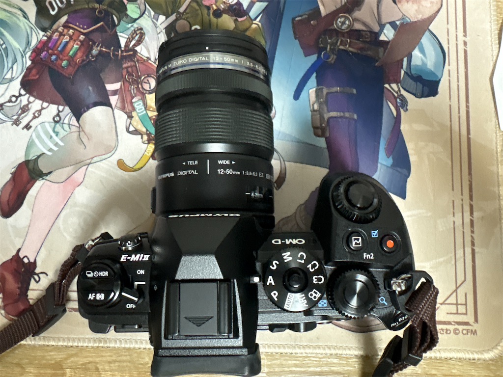 名機レビュー】初心者にもおすすめ！OLYMPUS OM-D E-M1 Mark IIを手