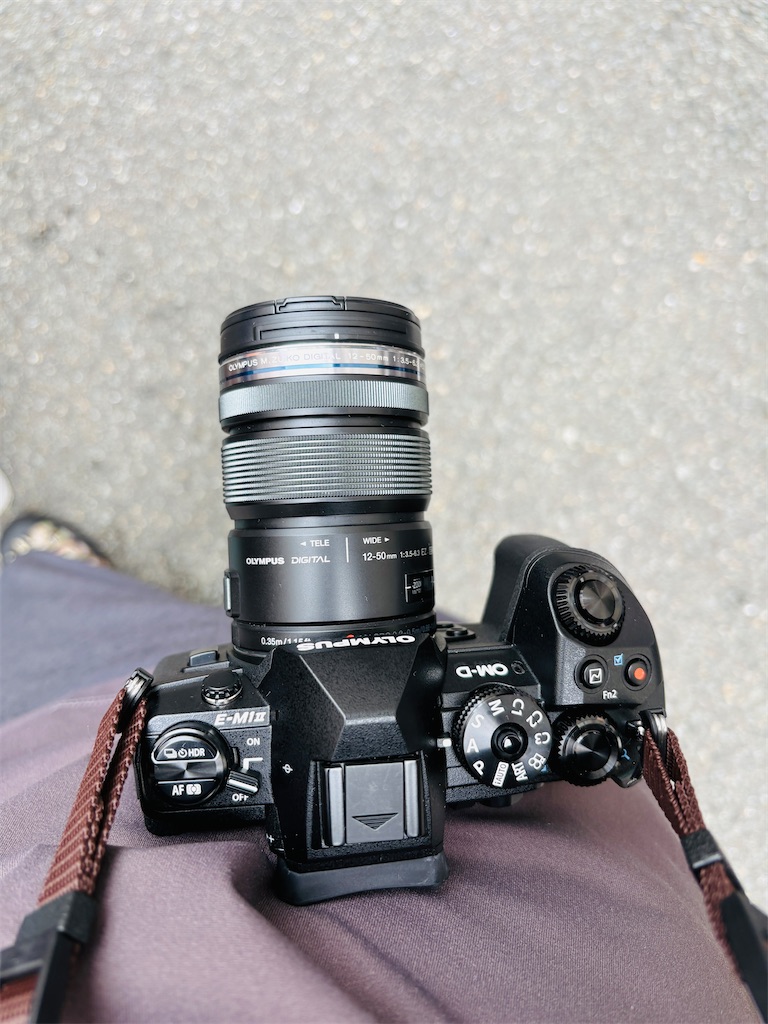7/26購入 OLYMPUS OM-D E-M1 markII キタムラ5年保証 オリンパス OM-D E-M1 MarkII ボディ ブラック | ミラーレス一眼