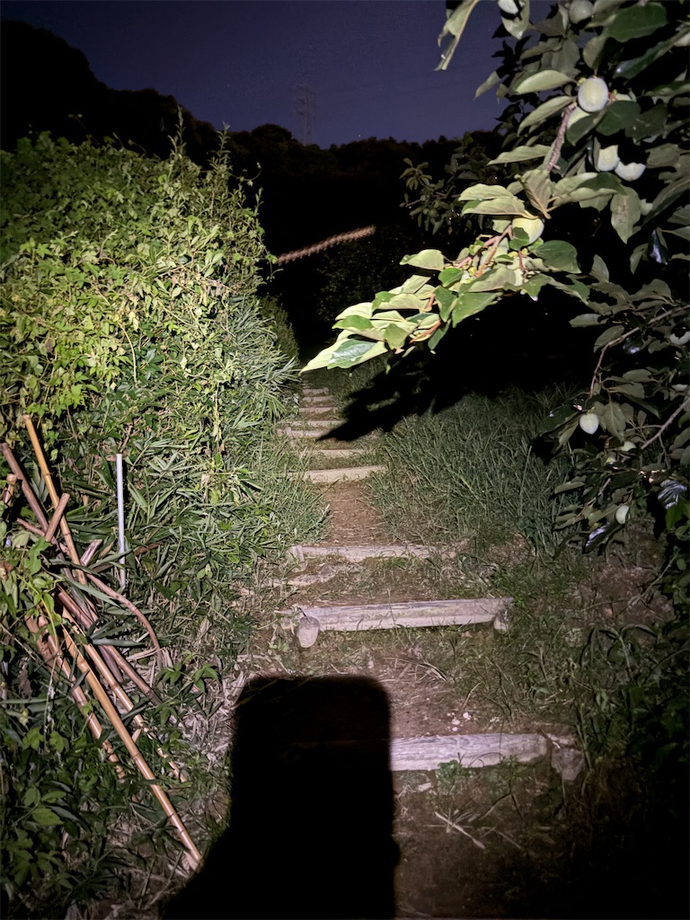 夜明け 夜明け - YouTube