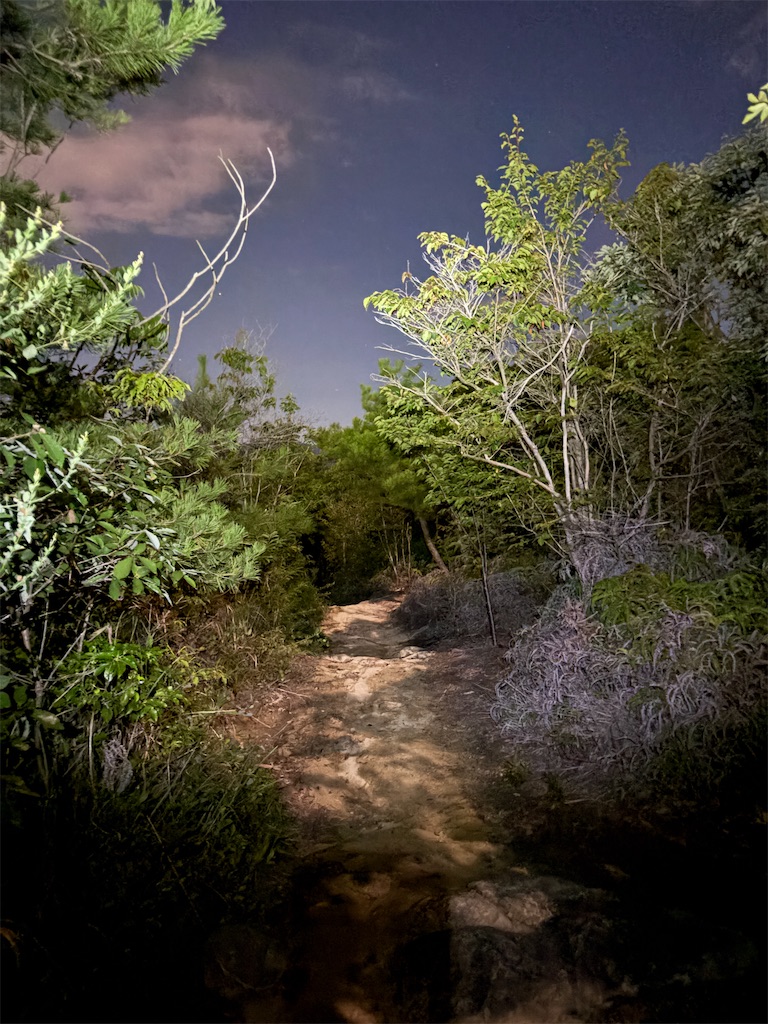 松山夜景リベンジ📸淡路ヶ峠で絶景撮影｜EM-1 Mark II × TG-7
