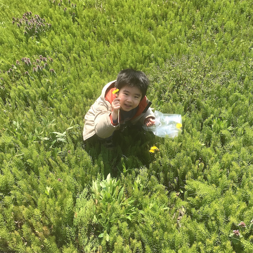 f:id:jonnobi-ijyuyome:20200416025456j:image