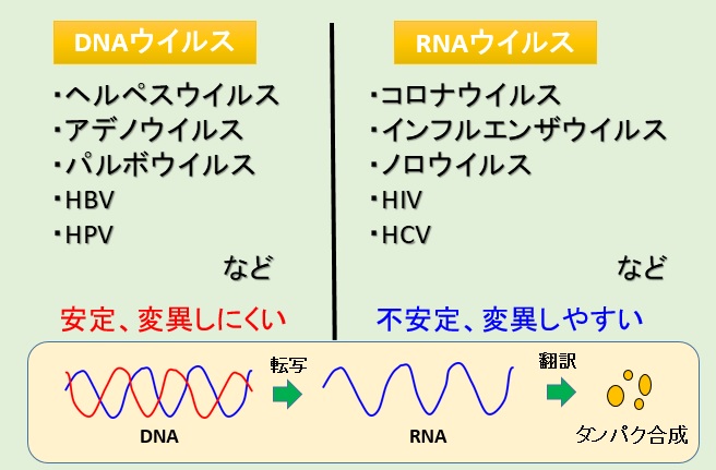f:id:jonny1205:20200315110726j:plain