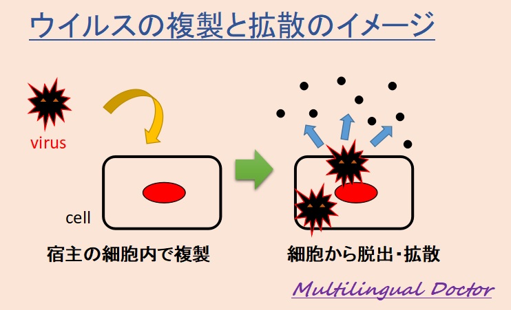 f:id:jonny1205:20200320183536j:plain