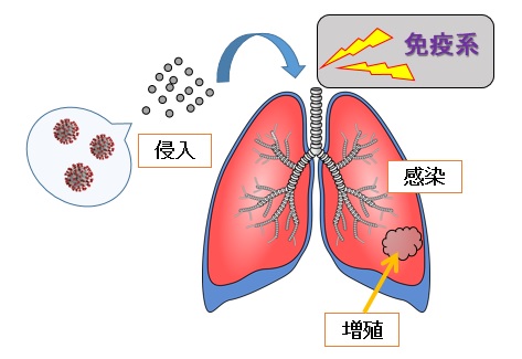 f:id:jonny1205:20200509220827j:plain