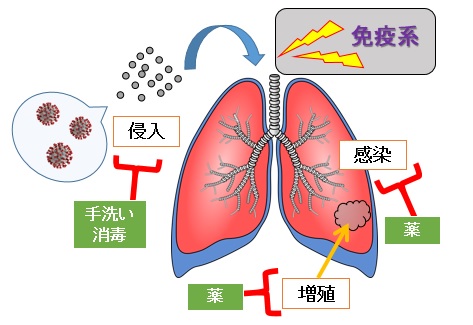 f:id:jonny1205:20200509222112j:plain