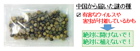 f:id:jonny1205:20200802002548p:plain