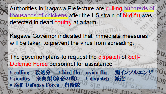 f:id:jonny1205:20201106120824p:plain