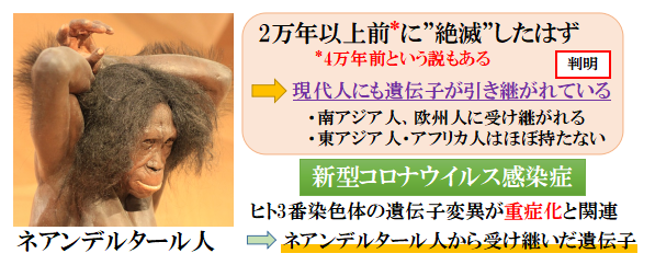 f:id:jonny1205:20201120103639p:plain