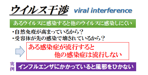 f:id:jonny1205:20201120114511p:plain