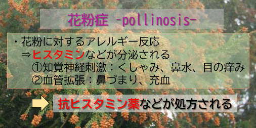 f:id:jonny1205:20210223094510p:plain