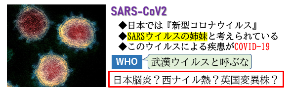 f:id:jonny1205:20210402131308p:plain