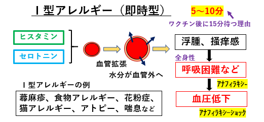f:id:jonny1205:20210707142052p:plain