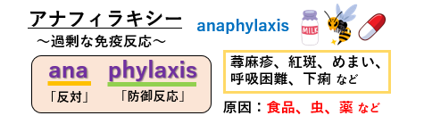 f:id:jonny1205:20210708130232p:plain