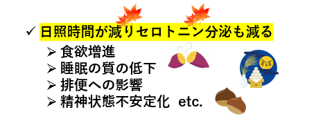 f:id:jonny1205:20211102130607p:plain