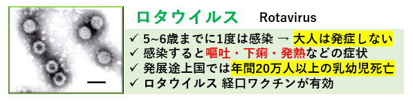 f:id:jonny1205:20211217130300p:plain