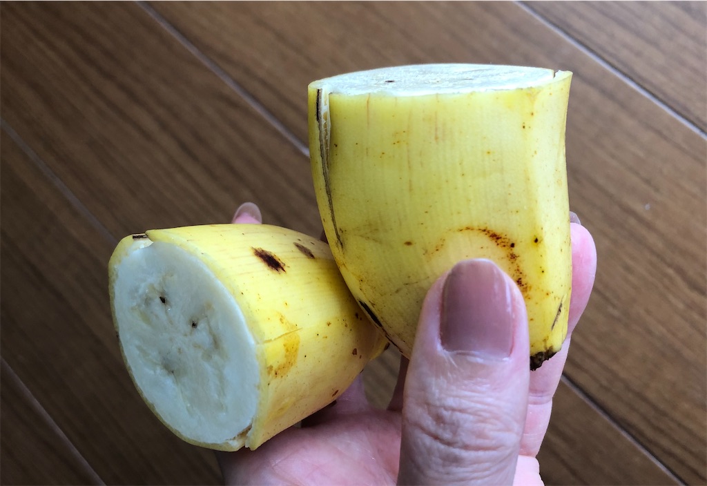 f:id:jonthon8:20201011174553j:image