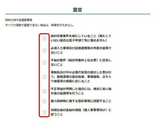 宣誓事項のチェック画面