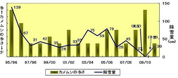 カメムシと大雪を連動させた表