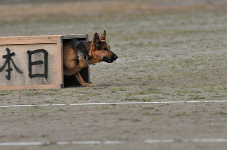 f:id:joojtv:20101016205028j:image