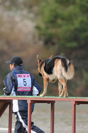 f:id:joojtv:20101016205029j:image