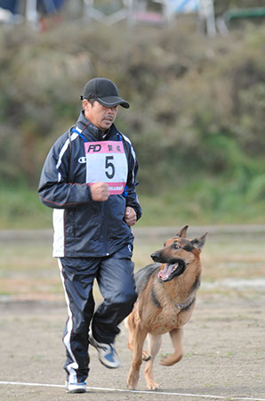 f:id:joojtv:20101016205030j:image