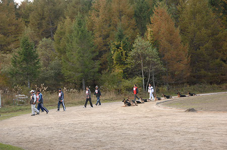 f:id:joojtv:20101016205032j:image