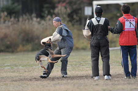 f:id:joojtv:20101016205153j:image