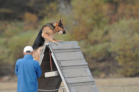 f:id:joojtv:20101016205155j:image