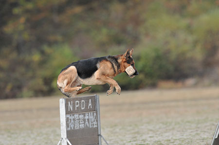 f:id:joojtv:20101016205156j:image