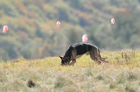 f:id:joojtv:20101016205248j:image