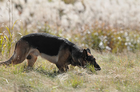 f:id:joojtv:20101016205251j:image