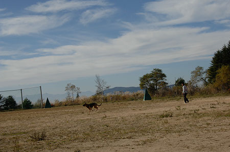 f:id:joojtv:20101016205347j:image