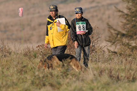 f:id:joojtv:20101016205430j:image