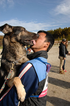 f:id:joojtv:20101016205432j:image