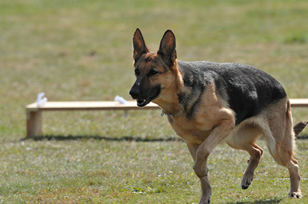 f:id:joojtv:20101018192143j:image