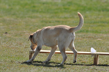 f:id:joojtv:20101018192649j:image
