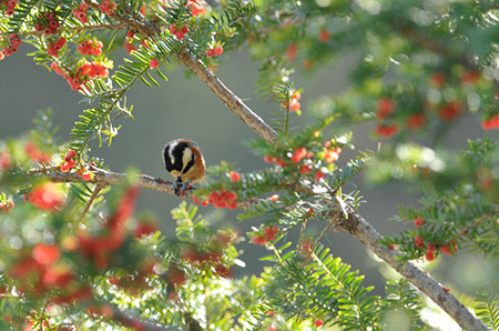 f:id:joojtv:20101023173312j:image