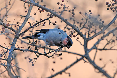 f:id:joojtv:20101120180437j:image