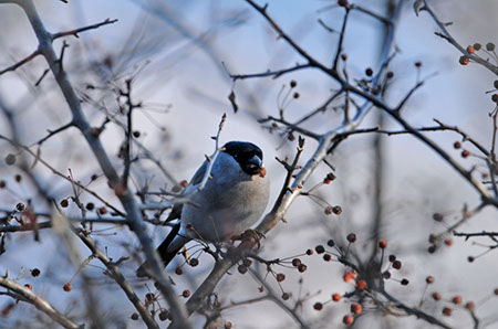 f:id:joojtv:20101120180442j:image