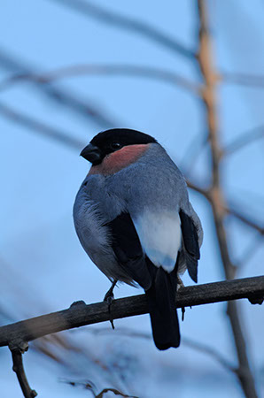 f:id:joojtv:20101120180527j:image