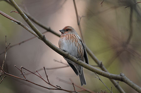 f:id:joojtv:20101212173815j:image