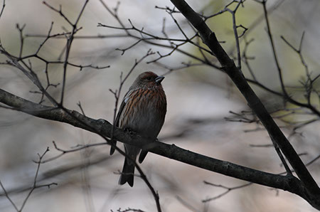 f:id:joojtv:20101212173816j:image
